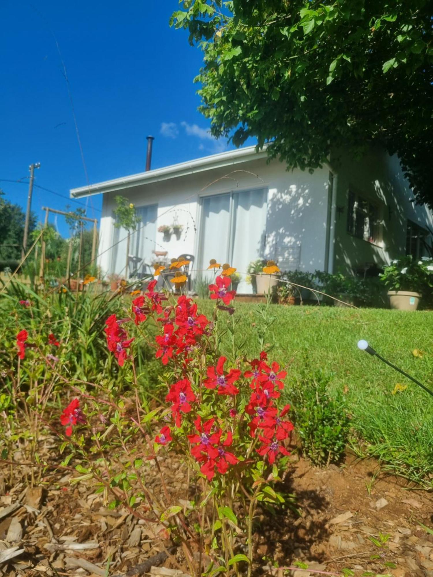 The Cottage On The Corner Himeville Exterior photo